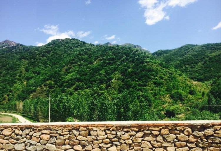 乡村旅游开发案例分析_乡村旅游开发方案_个人如何开发乡村旅游