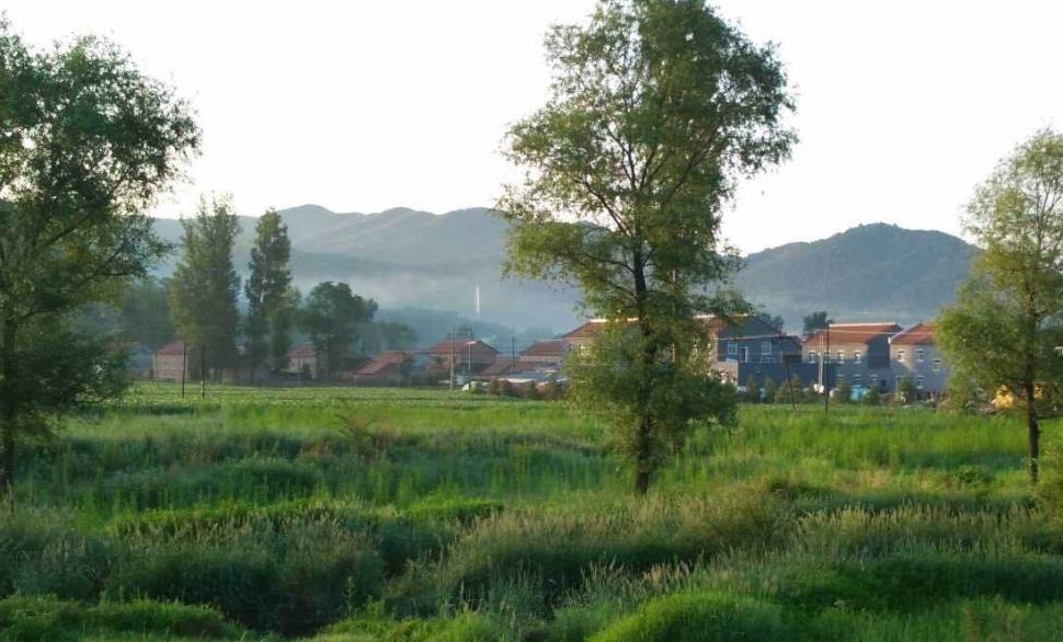 个人如何开发乡村旅游_乡村旅游开发案例分析_乡村旅游开发方案