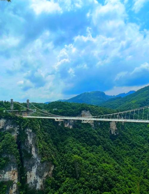 张家界大峡谷玻璃桥_张家界玻璃桥叫停_世界最长玻璃桥