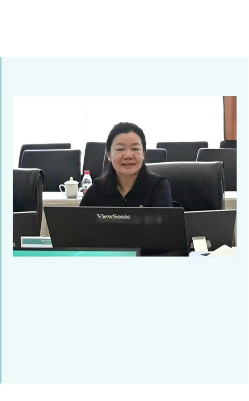 白英姿在中央企业集中采购培训班上的总结讲话
