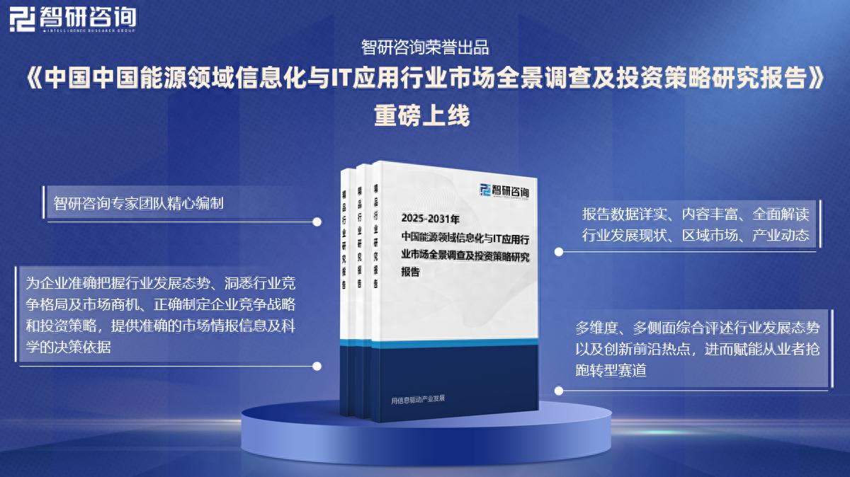 中国能源领域信息化与IT应用行业市场竞争格局及发展前景分析报