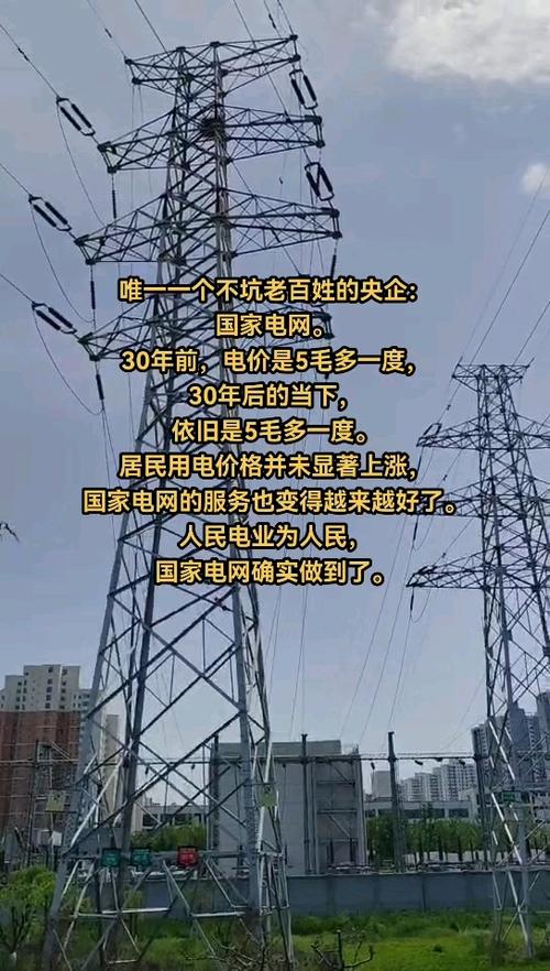 国电投与华能_国电电力新能源转型_国电电力央企背景分析
