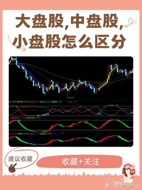 总股本与盘子大小_股票流通股本分类_大盘股与小盘股区别