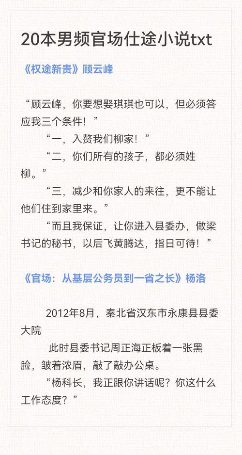 历史官场小说_官场小说高志强仕途生涯_财政局预算处长沈天涯官场浮沉