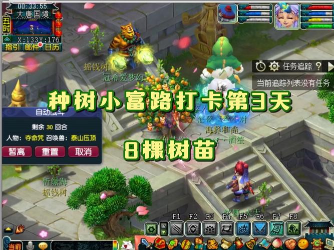 摇钱树苗种植方法_江南野外种植树苗技巧_摇钱树可以水培吗
