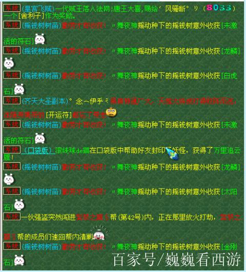 摇钱树苗种植方法_江南野外种植树苗技巧_摇钱树可以水培吗