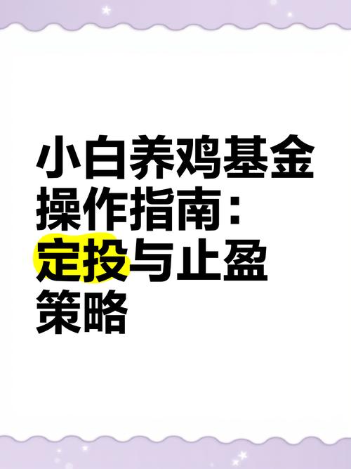 基金年赚攻略 _理财排行榜软件下载_95后女生理财经验 