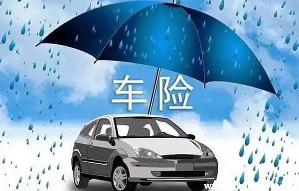 车辆损失险赔偿范围和条件，车损险怎么报