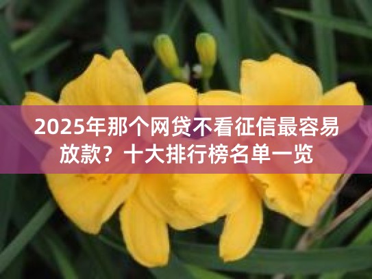 2025年那个网贷不看征信最容易放款？十大排行榜名单一览