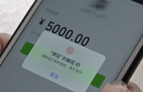 微信借钱能借五千元吗：整理5个靠谱贷款平台