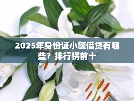 2025年身份证小额借贷有哪些？排行榜前十