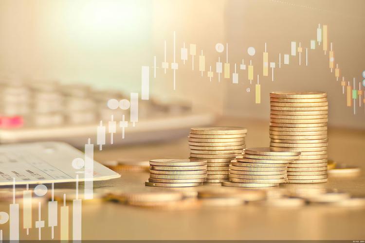 上交所筹划非公开发行停牌时间规定_上市公司定增停复牌标准更新_临时停牌后 多久出公告