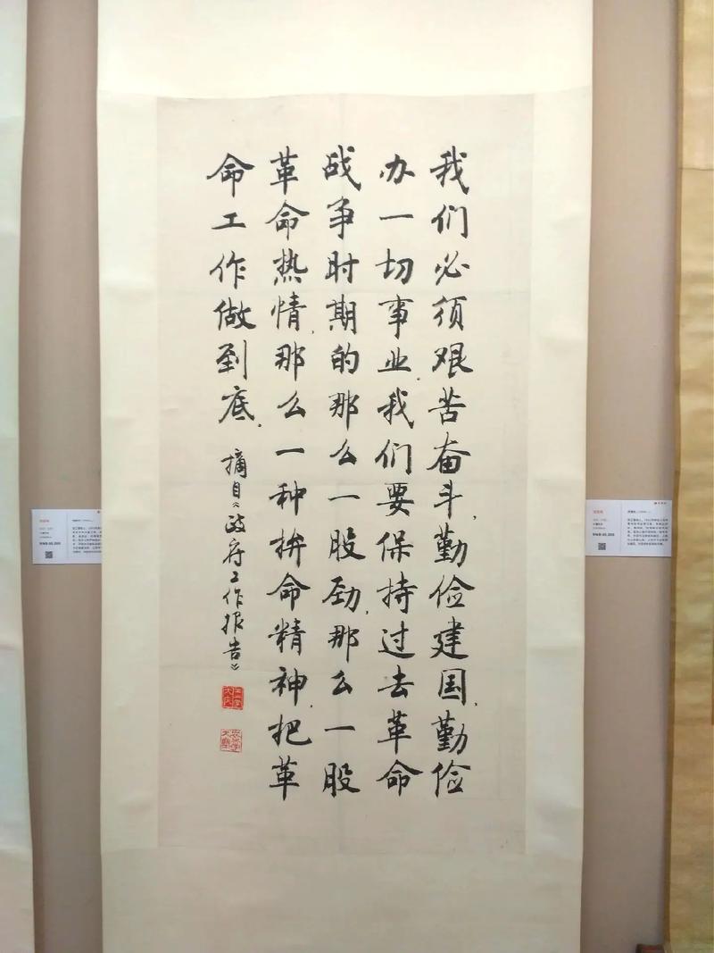 致富经2025年视频全集_低息贷款 养殖 致富牛