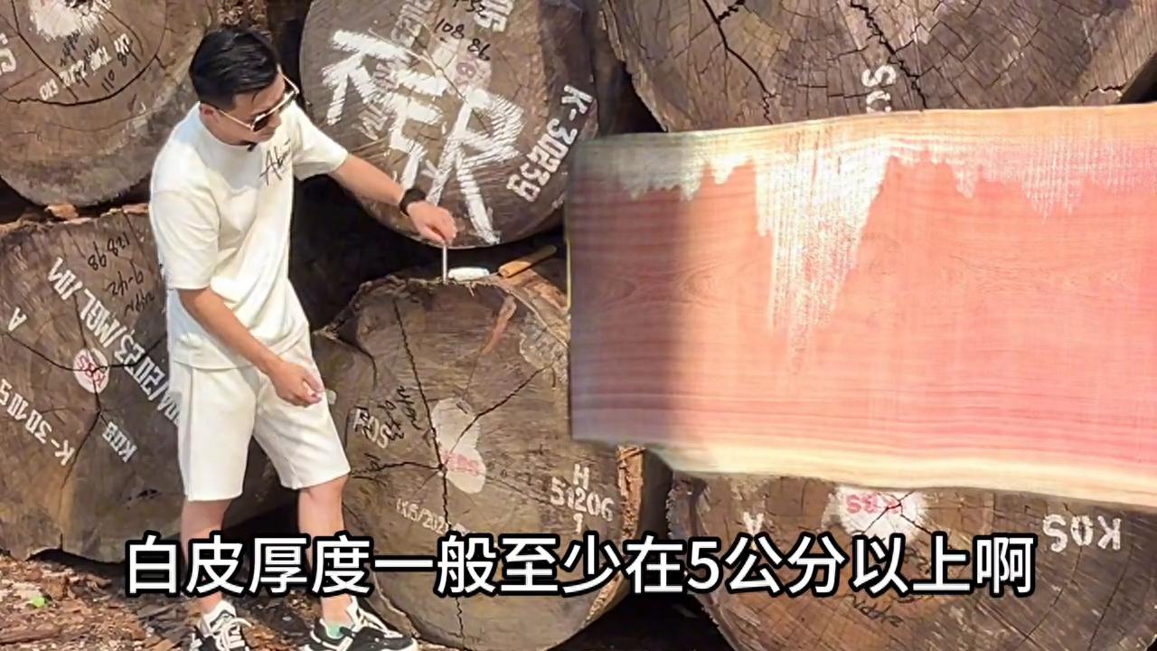 可西浦 沙比利 和西浦 成熟家具材#木材加工厂