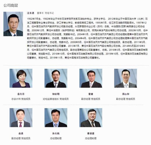 国家能源投资集团有限责任公司领导班子任命_国家能源投资集团有限责任公司重组_中国国电集团董事会正式成立