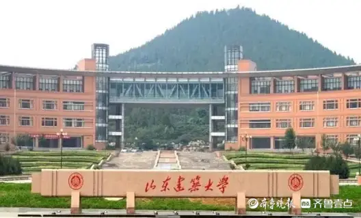 高校报考位次参考_四川深圳大学分数线_山东高考分数线预估