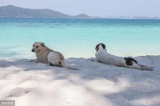 强势股之经典形态“N字”战法，弱市照样赚大钱（附选股公式）