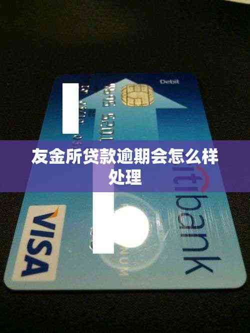 友金所贷款逾期会怎么样处理