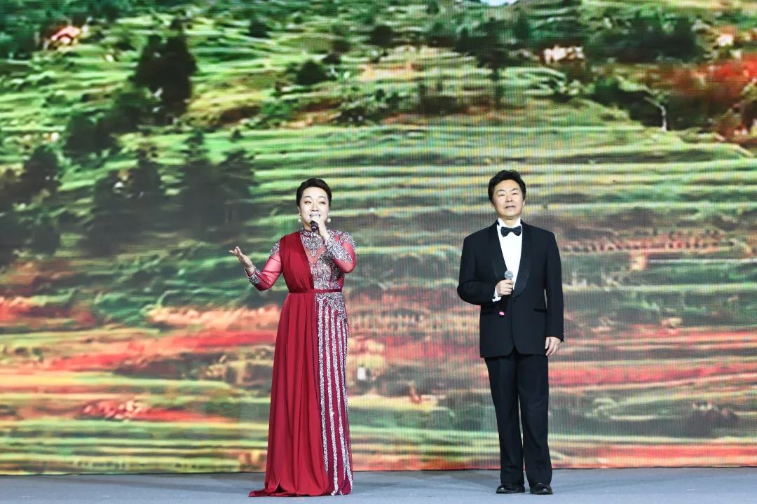 2020美丽乡村博鳌国际峰会 王家瑞 乡村振兴 美丽共享_美丽乡村博鳌论坛