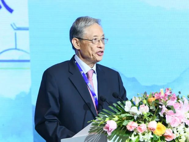 美丽乡村博鳌论坛_2020美丽乡村博鳌国际峰会 王家瑞 乡村振兴 美丽共享