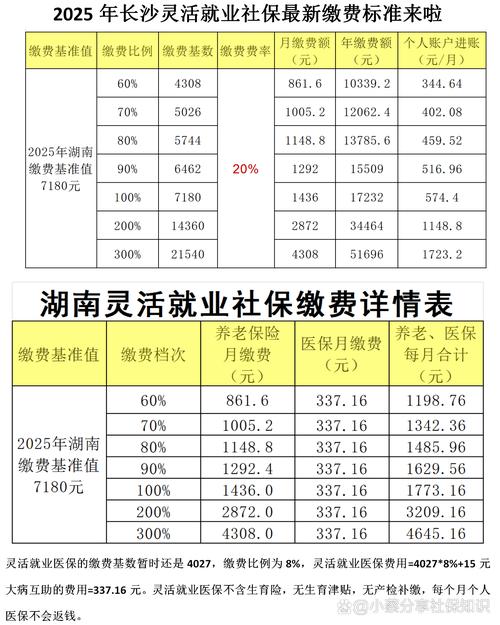 灵活就业人员今年缴纳社会保险费有了多种选择