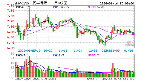 民丰特纸(600235)：玖龙启示 造纸巨头