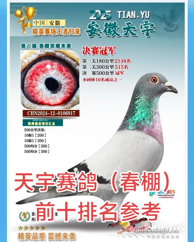 安徽天宇赛鸽中心决赛_安徽天宇赛鸽中心拍卖会_安微天宇鸽赛中心
