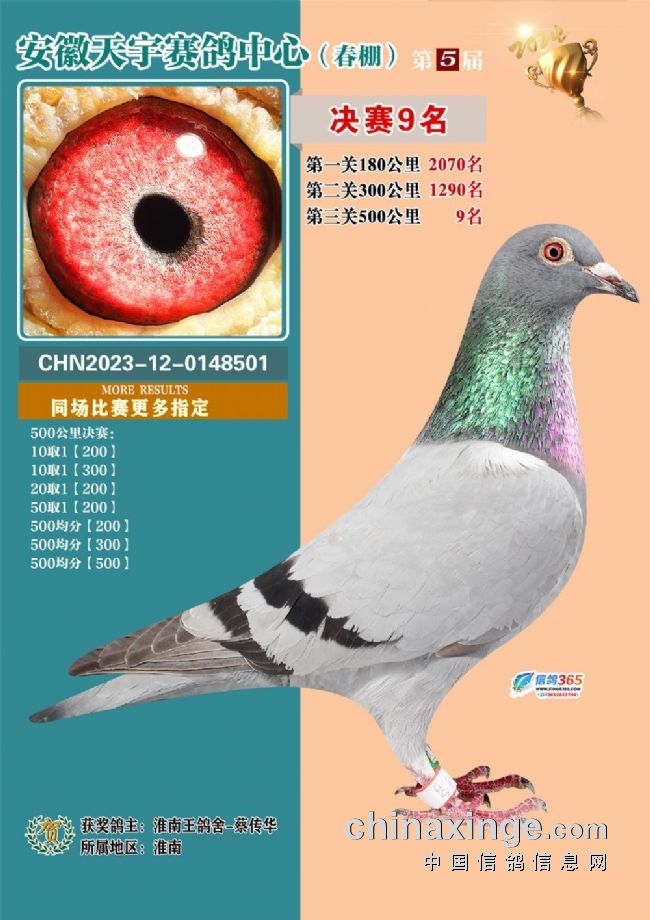 安微天宇鸽赛中心_安徽天宇赛鸽中心决赛_安徽天宇赛鸽中心拍卖会