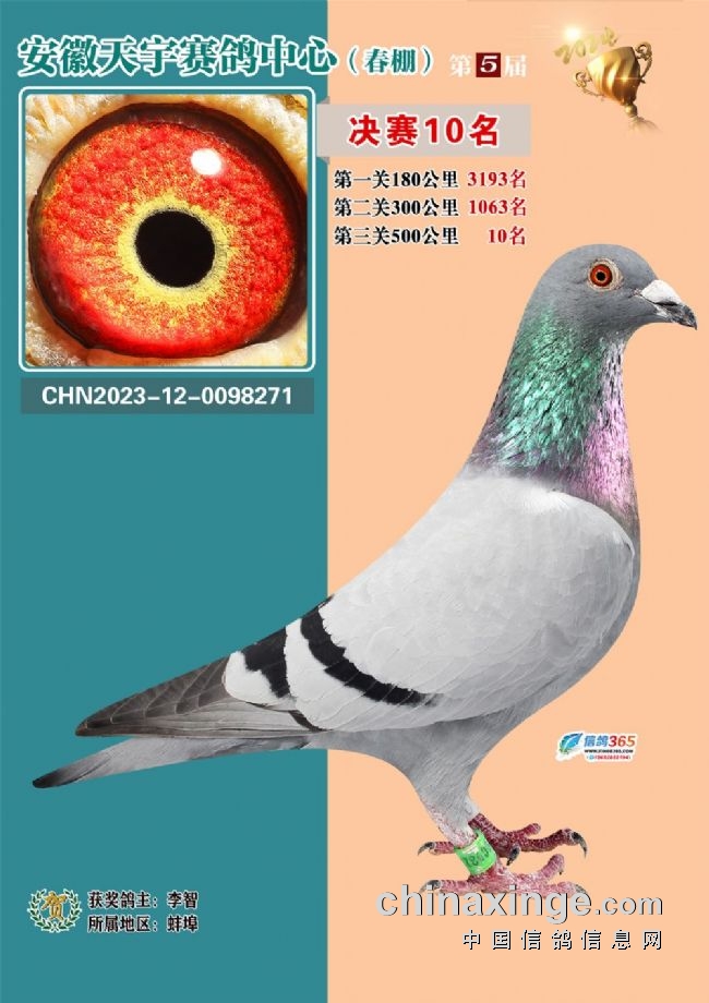 安微天宇鸽赛中心_安徽天宇赛鸽中心拍卖会_安徽天宇赛鸽中心决赛