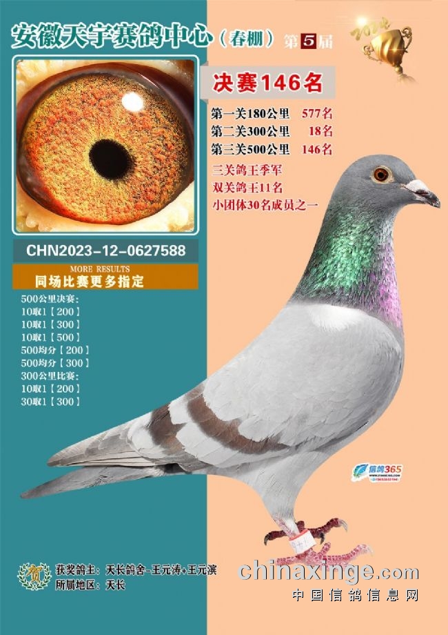 安徽天宇赛鸽中心拍卖会_安微天宇鸽赛中心_安徽天宇赛鸽中心决赛
