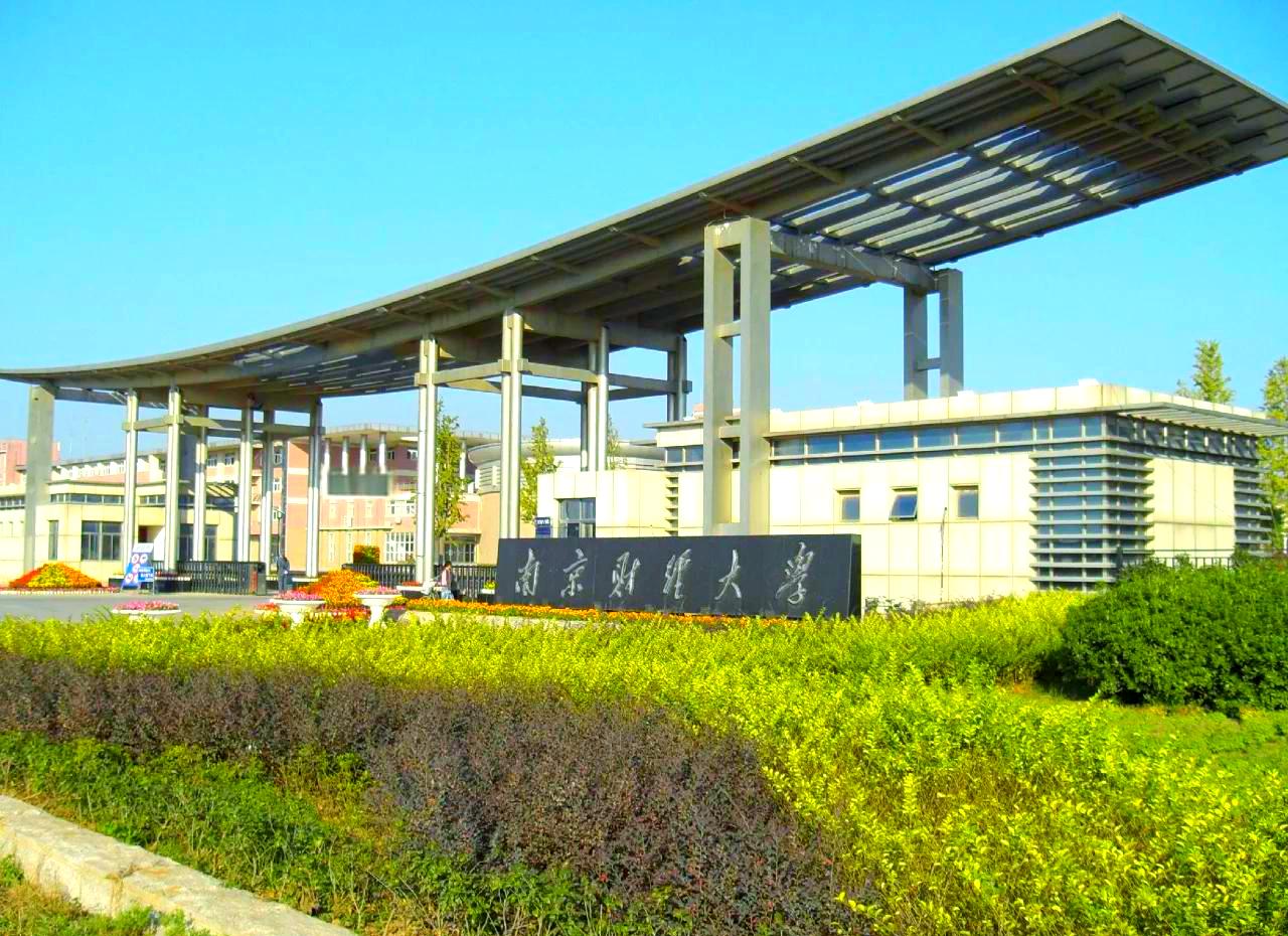 南京财经大学2025招生人数_南京财经大学中外合作办学项目_南京财经大学优势专业