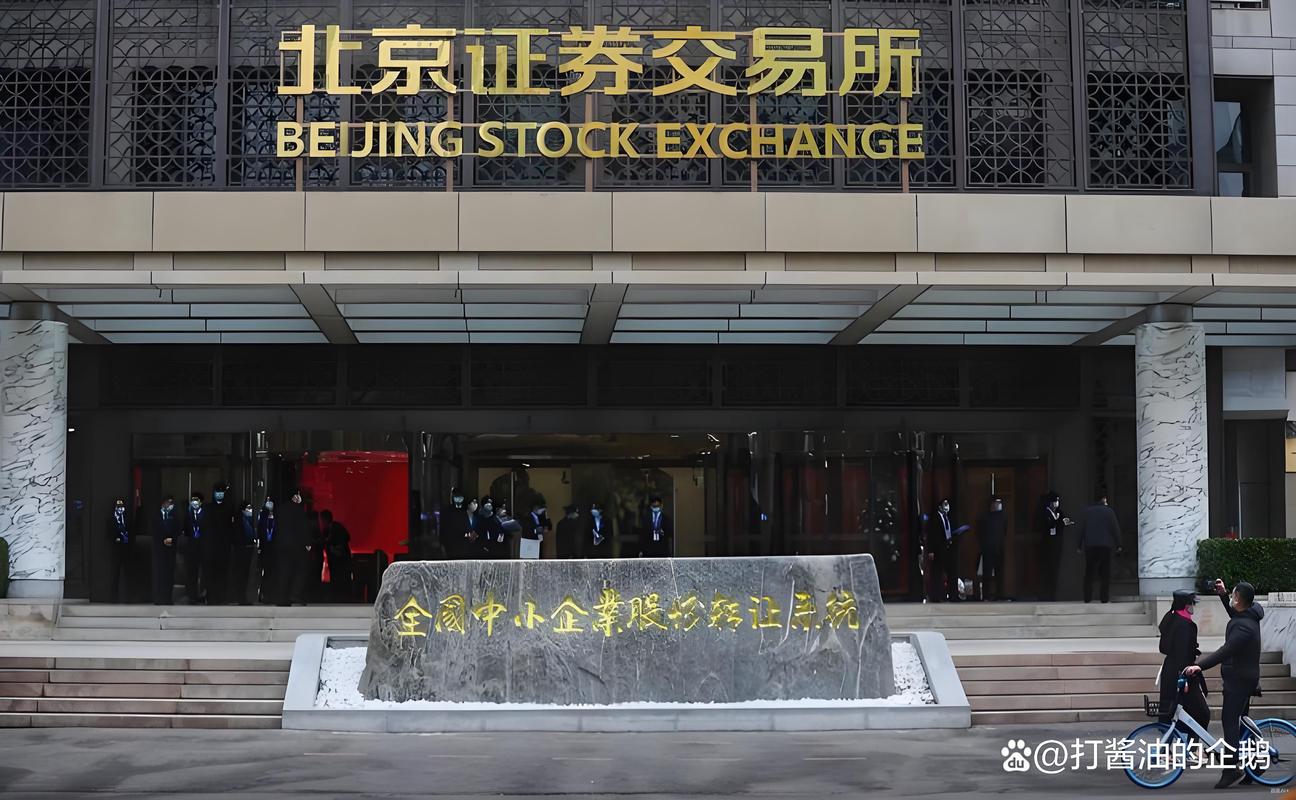 又一国家级“小巨人”，北交所IPO过会！