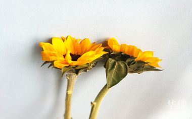 一、邻居小孩太吵怎么投诉