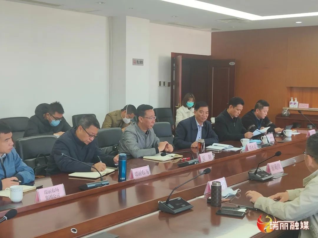 瑞丽市招商引资工作_瑞丽自贸区整体方案_瑞丽市产业新区开发