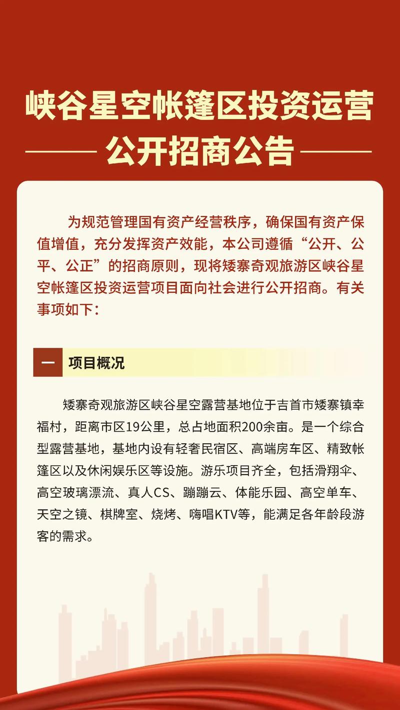 瑞丽市招商引资工作_瑞丽自贸区整体方案_瑞丽市产业新区开发