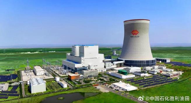 胜利油田自备电厂_热电厂是干什么的_胜利发电厂