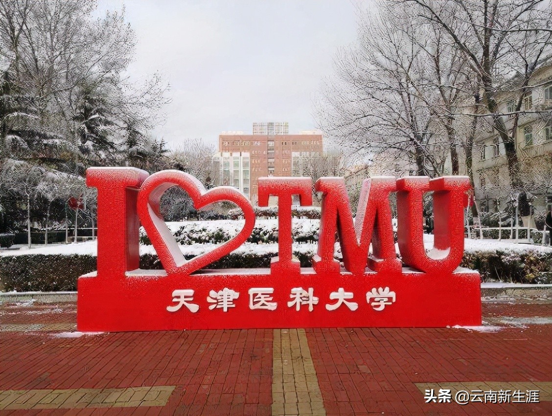 天津一本高校录取分数线_天津工业大学本科招生_天津本科高校排名