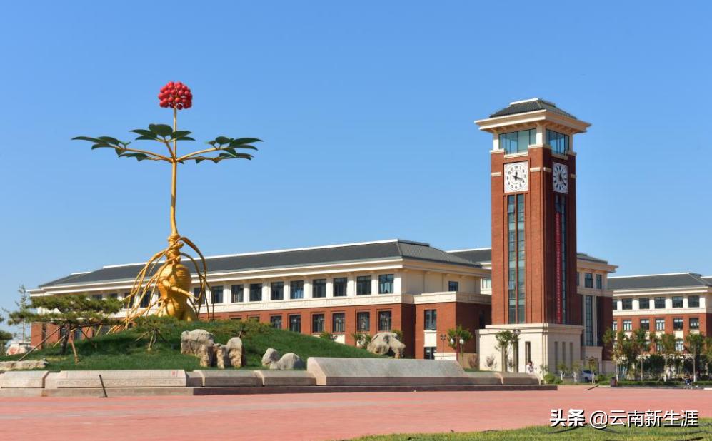 天津一本高校录取分数线_天津本科高校排名_天津工业大学本科招生