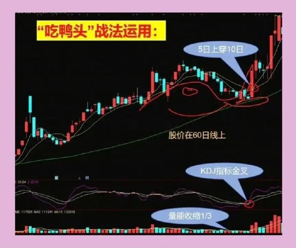 老鸭头一般涨幅是多少_技术分析选股_老鸭头上涨幅度