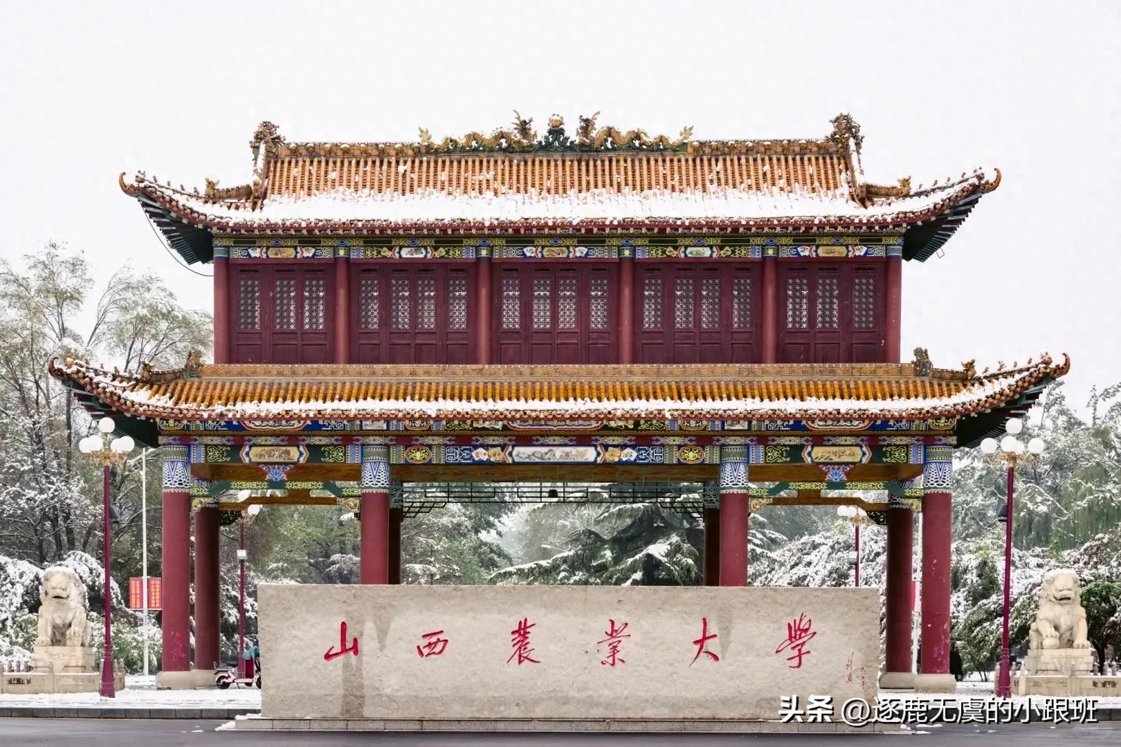 山西农大、山西医科大、山西师大、山西财大，山西四所大学分析！