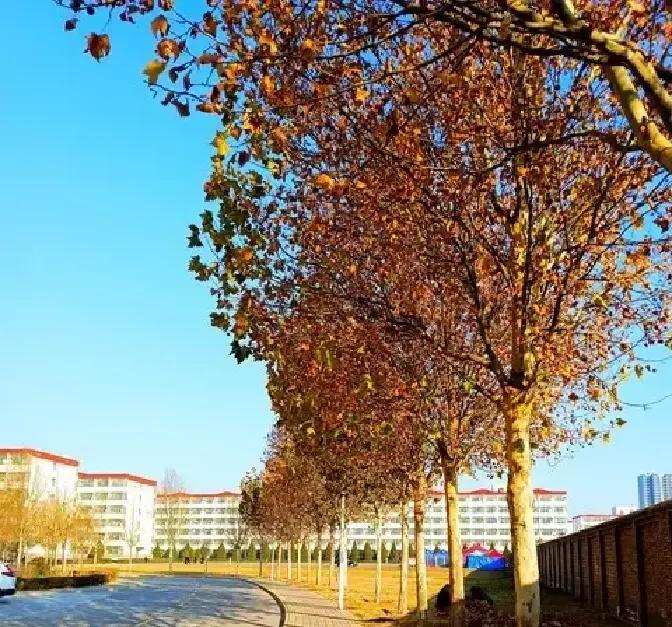 山西财经大学学科建设_山西财经大学财务管理专业排名_山西财经大学历史发展