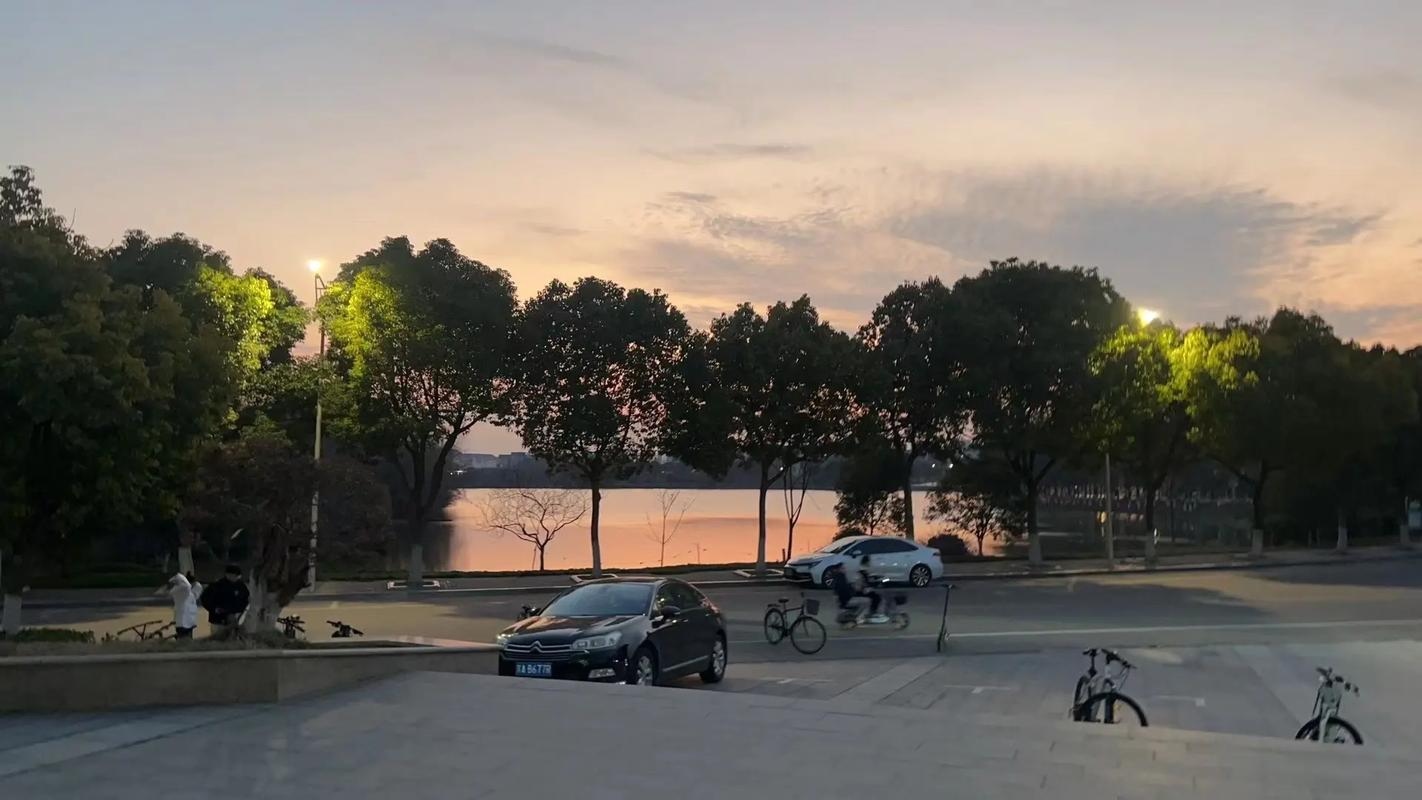 山西大学保研率_山西最好的大学_山西财经大学财务管理专业排名