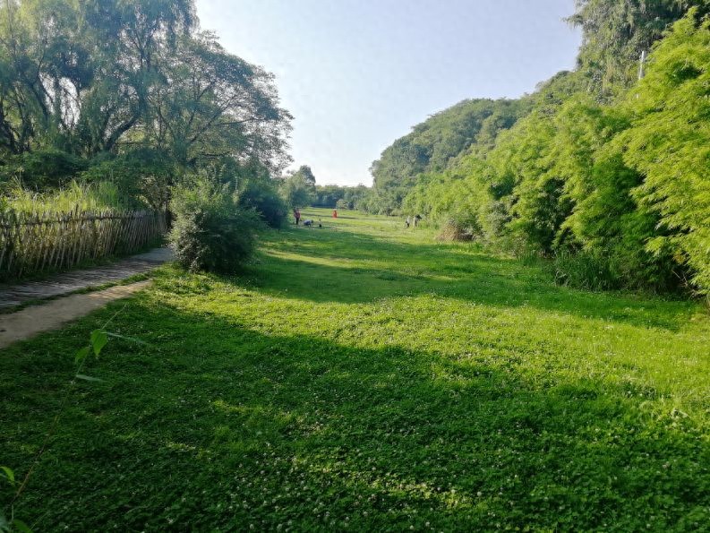 ETF和指数基金的基础知识