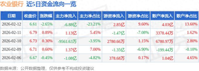 中国农业银行余额查询怎么查_农业银行股票资金流向分析_农业银行主力资金流向数据