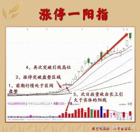 封成比封单结构实战应用_涨停股封单强度分析_股票封单量怎么看