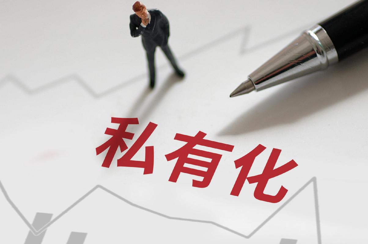 盛大网络 私有化 动因_盛大网络 雒芊芊