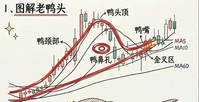 什么样老鸭头形态图好_洗盘出货区分_老鸭头形态识别