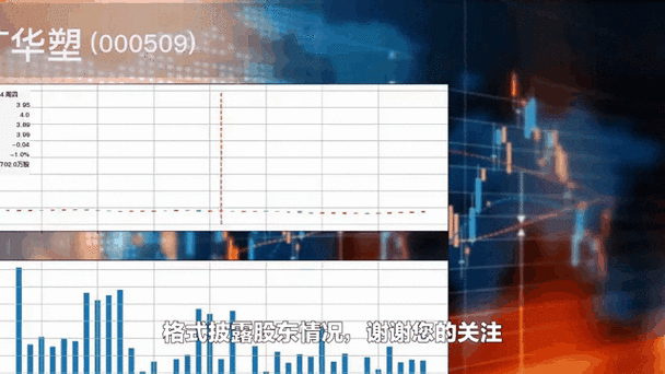 持续信息披露的定期报告