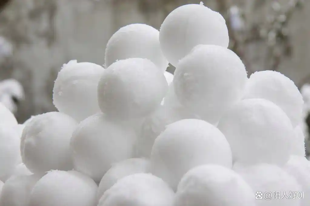 免费好用理财软件_随手记鲨鱼记账Timi记账雪球蚂蚁财富_手机理财选哪个软件好