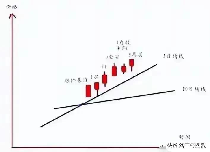 看透散户亏损根源_双线战法20日线上不进场_5日均线止损法的高手